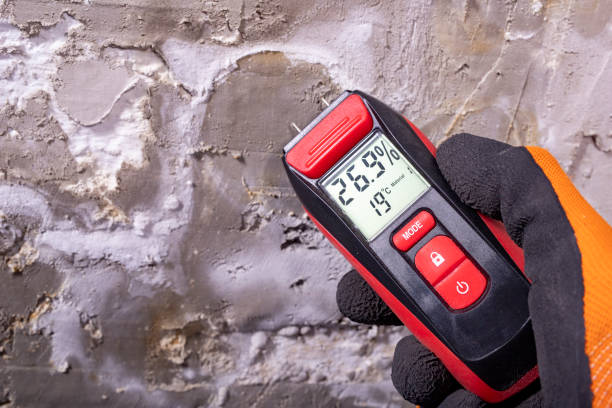 Best Residential Mold Remediation in Patrick Springs, VA